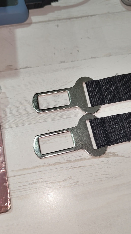 CORREA COCHE MASCOTAS